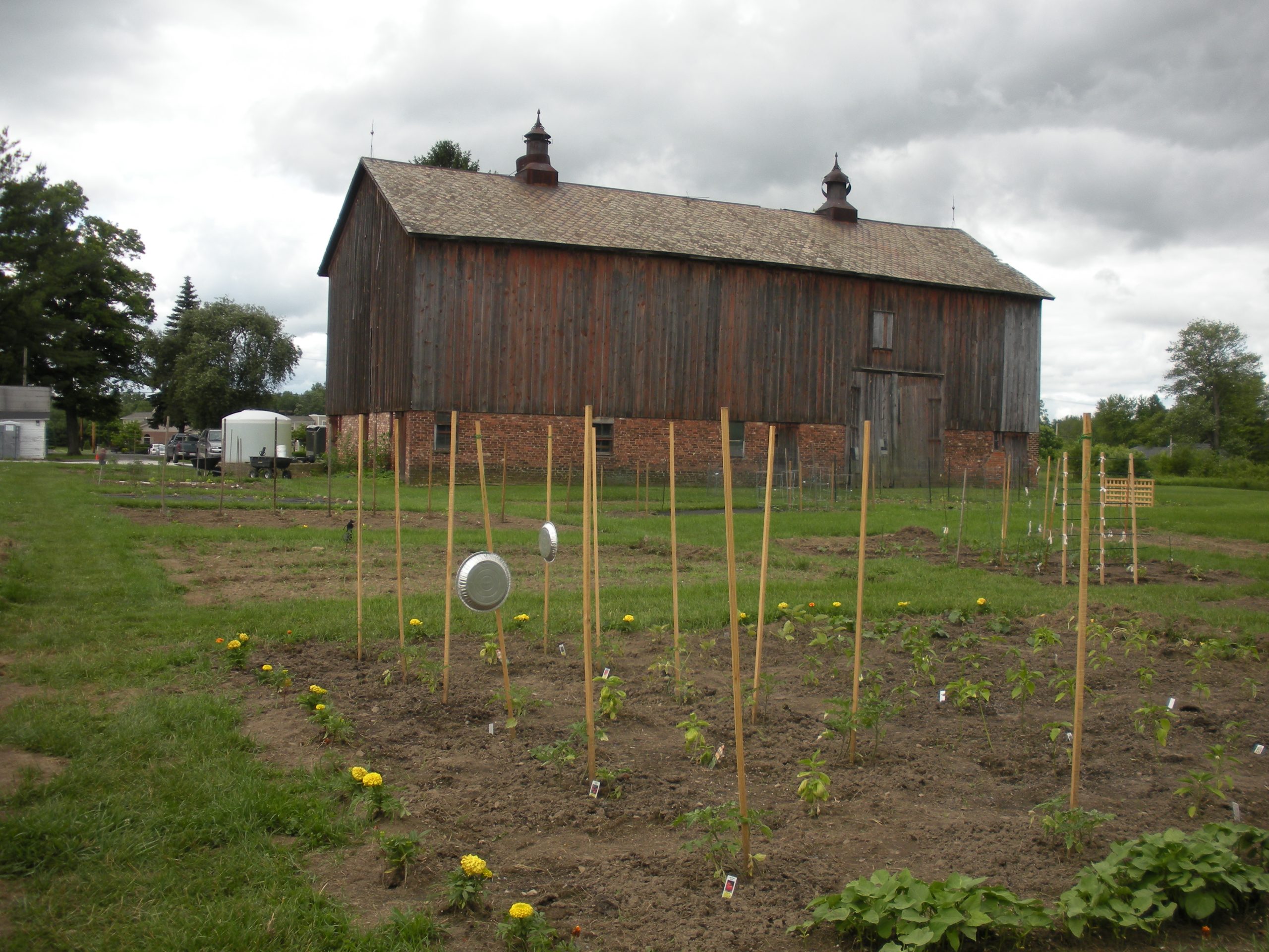 Community Garden - Howland